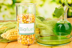 Kidmore End biofuel availability